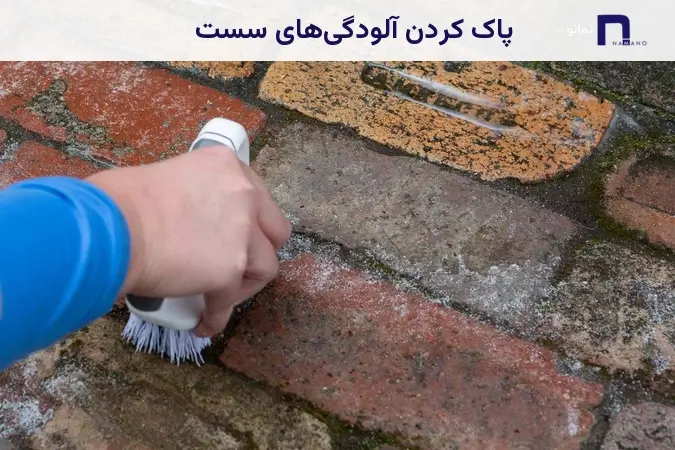 پاک کردن آلودگیهای سست