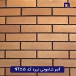 آجر شاموتی تیره کد NT55