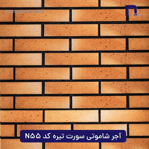 آجر شاموتی سورت تیره کد N55
